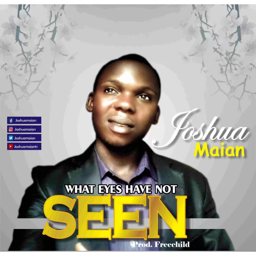 What eyes have not seen by Joshua Maian