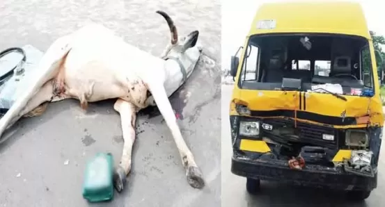 Herders who killed a bus driver are caught by police in Lagos