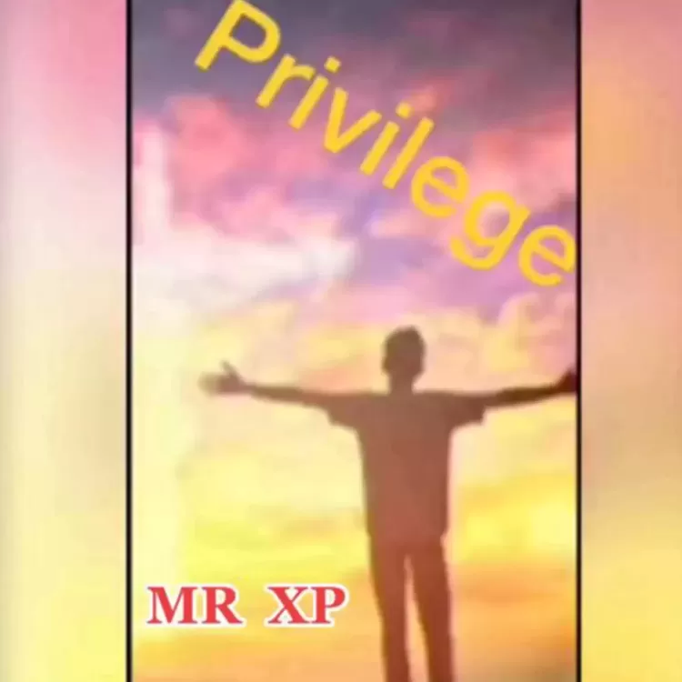 Privilege by Mr Xp