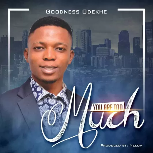 You are too much by Goodness Odekhe